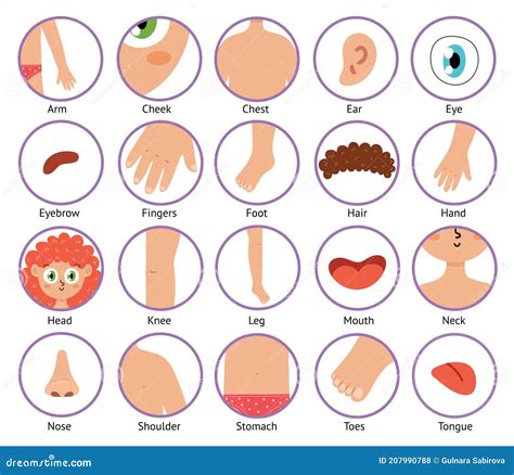 body parts cartoon image|cartoon body clip art.